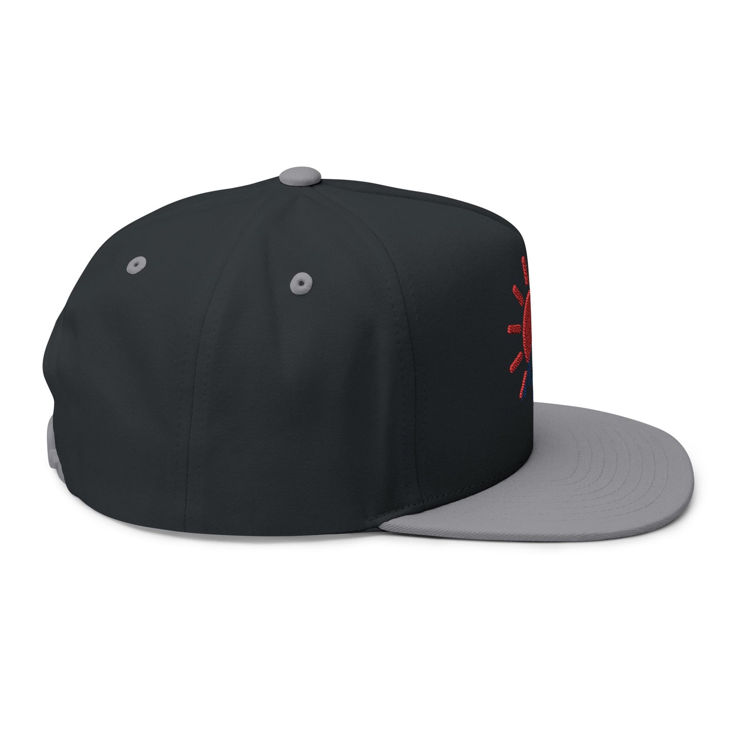 Seasonnear Embroidered Flat Bill Cap – Hot & Cold Season Logo Hat – Stylish Streetwear Snapback